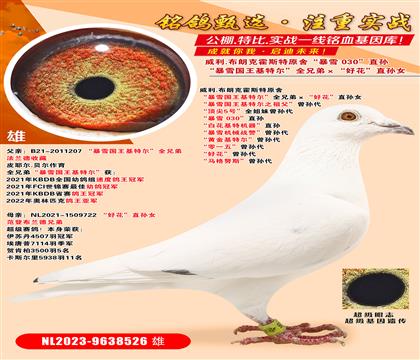 .ʿ˻˹ԭ ѩ(gu)ؠȫֵܡûֱ