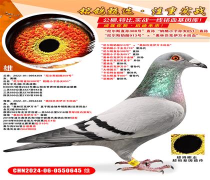 ᠖˹913̖(ho)Wƥf(wn)Ѫ ᠖˹ֱO