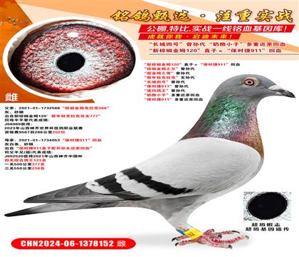 ؙķ120ֱӡr(sh)911Ѫ ؙķ֮