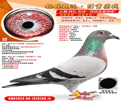 ؙķ120ֱӡr(sh)911Ѫ ؙķ֮