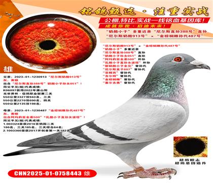 ᠖˹913̖(ho)ؙƌO487̖(ho) С