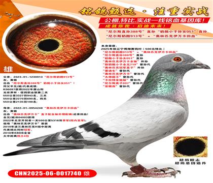 ِ壨500Ԫرȣ ᠖˹913̖(ho)Wƥ