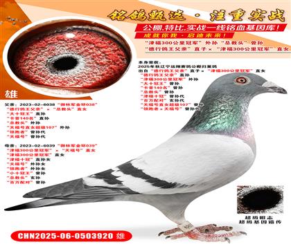 \(yn)wԡHֱӡ300܊ֱ