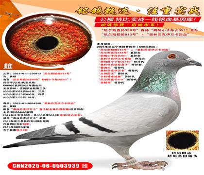 ᠖˹913̖(ho)Wƥf(wn)Ѫ ᠖˹ֱO