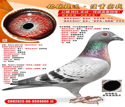 Wƥ003ֱO_(d)۴ơOŮ W