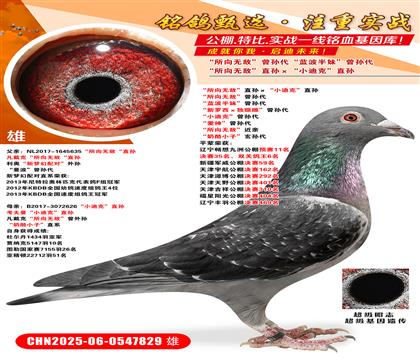 o(w)ֱOСϿˡֱO o(w)O {(ln)