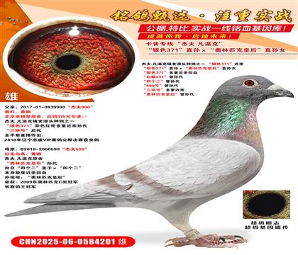 ܷ.ؿ(zhn)Դ^N֮һ yɫ371H yɫ37