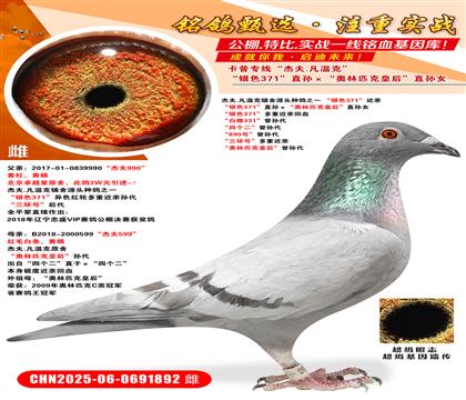 ܷ.ؿ(zhn)Դ^N֮һ yɫ371H yɫ37