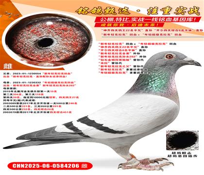 pˡѪp(j)ˡѪ RP(gun)