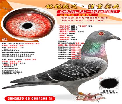 o(w)ֱOСϿˡֱO o(w)O {(ln)