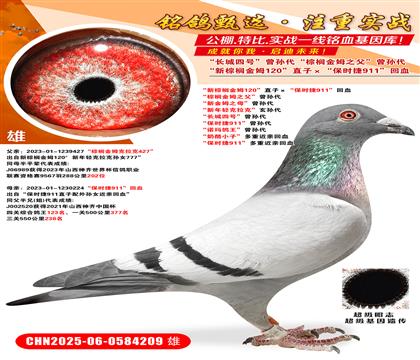 ؙķ120ֱӡr(sh)911Ѫ ؙķ֮