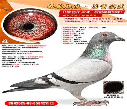 ؙķ120ֱӡr(sh)911Ѫ ؙķ֮