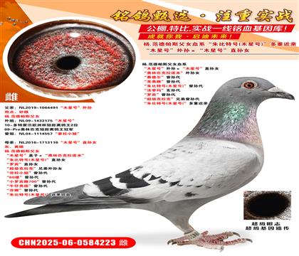 .SŮľ̖(ho)Oľ̖(ho)ֱOŮ