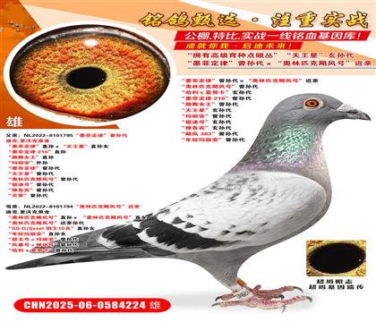 īƶɡOWƥZL(fng)̖(ho)H WƥZL(fng)̖(ho)