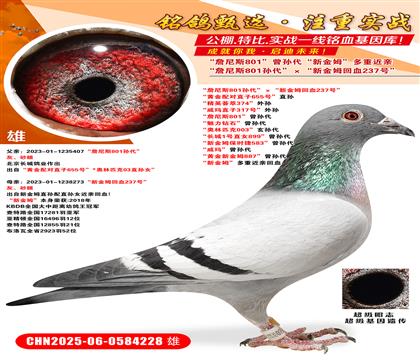 ղ˹801O½ķѪ237̖(ho) S䌦(du)ֱ