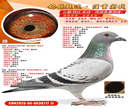 īƶɡOWƥZL(fng)̖(ho)H WƥZL(fng)̖(ho)