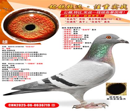 ׵Ͽˡֱӡ̖(ho)ֱŮ ̖(ho)O ׵Ͽˡֱ