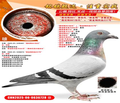 ղ˹801O½ķѪ237̖(ho) S䌦(du)ֱ