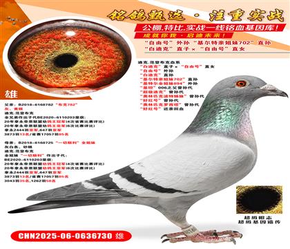 ׵Ͽˡֱӡ̖(ho)ֱŮ ̖(ho)O ׵Ͽˡֱ