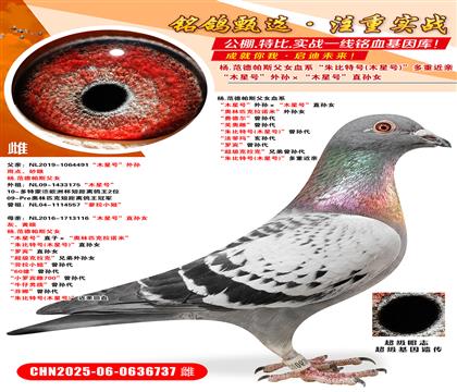 .SŮľ̖(ho)Oľ̖(ho)ֱOŮ