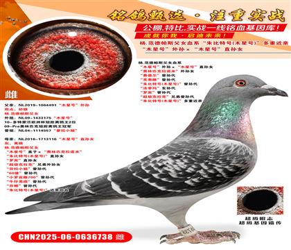 .SŮľ̖(ho)Oľ̖(ho)ֱOŮ