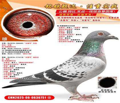 .SŮľ̖(ho)Oľ̖(ho)ֱOŮ