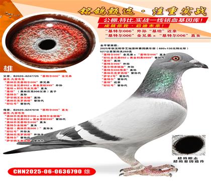 ؠ006ȫֵܡؠ006ֱŮ ütȫֵ9