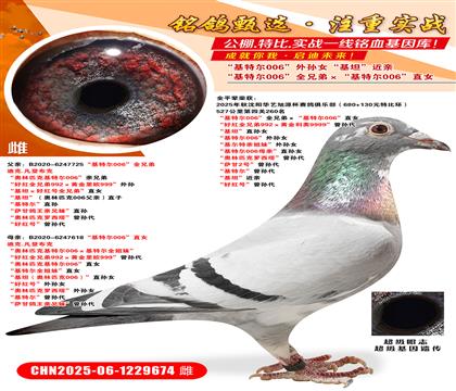 ؠ006ȫֵܡؠ006ֱŮ ütȫֵ9