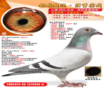 ׵Ͽˡֱӡ̖(ho)ֱŮ ̖(ho)OŮ ׵Ͽˡ