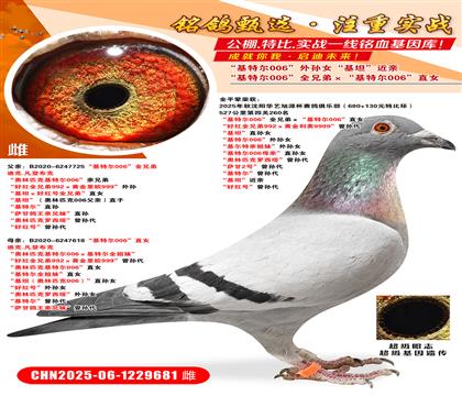 ؠ006ȫֵܡؠ006ֱŮ ütȫֵ9