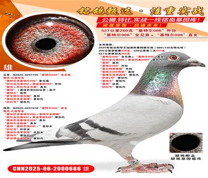 527260ؠ006ȫֵܡؠ006ֱ