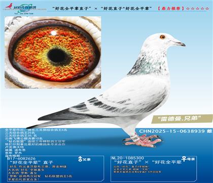 �û�ȫƽֱ݅�ӡ������û�ֱ��/�û�ȫƽ݅��