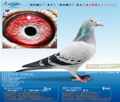 �����r(sh��)��911��ֱ�ӡ������r(sh��)��911��ֱŮ