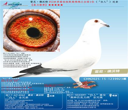 FCI������Ѷ̾��x������ȫ��(gu��)1λ�������ˡ������H