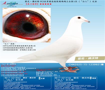 FCI������Ѷ̾��x������ȫ��(gu��)1λ�������ˡ������H