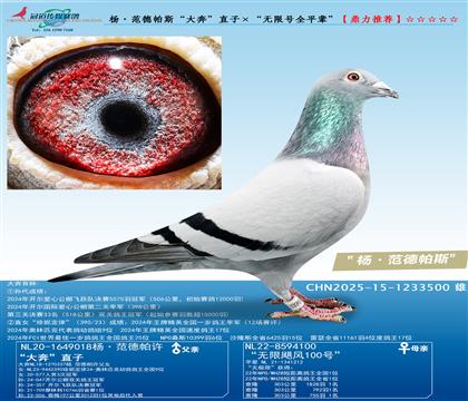 �������˹���󱼡�ֱ�ӡ����o(w��)��̖(h��o)ȫƽ݅��