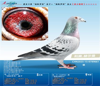 ��(��i)�����ա��u݆�_����ֱ�ӡ����u݆�_����ֱŮ