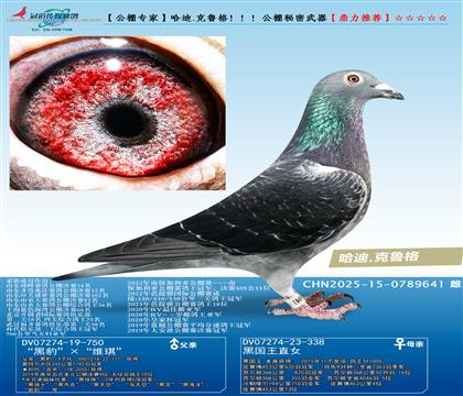 ����.�����񣡣���������������