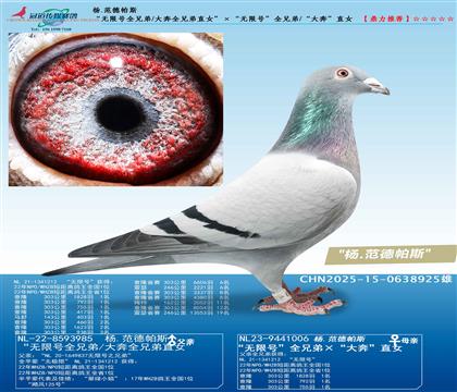 ���o(w��)��̖(h��o)ȫ�ֵ�/��ȫ�ֵ�ֱŮ�������o(w��)��̖(h��o)��ȫ�ֵ�/���󱼡�