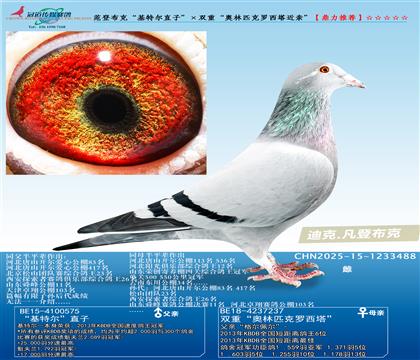 ���ǲ��ˡ����ؠ�ֱ�ӡ����p�ء��W��ƥ���_�������H��