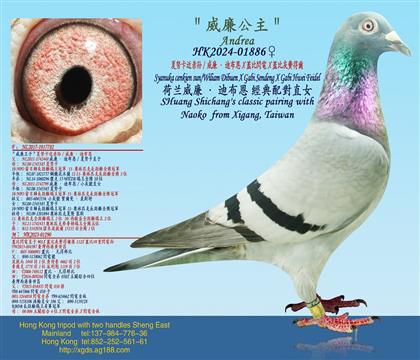 ŬO/ϲXwWXwȻM(fi)à