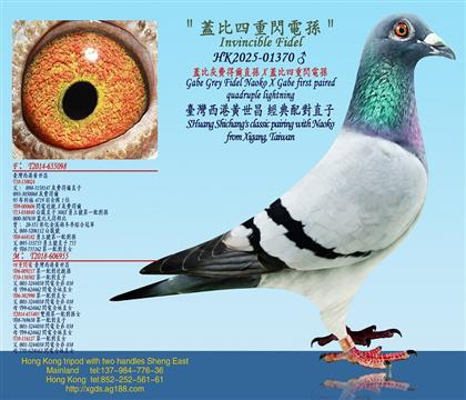 wȻM(fi)àֱOXwW늌O