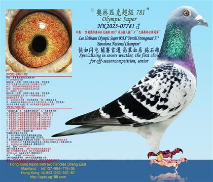 WR˹Wƥ˳(j)003XΏ(qing)̖(ho)Xِ_