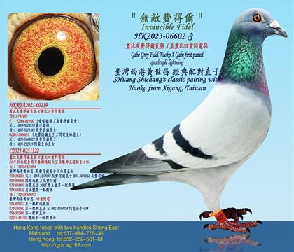 wȻM(fi)àֱOXwW늌O