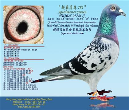 ղɭ019CϹ܊/_(ti)܊X 019ؽH