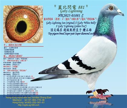 wW늌OԭᣩXwȣ׸XwȣW늽