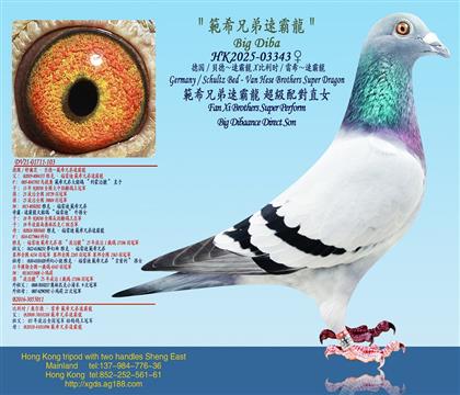 (gu)/ؐ¡ٰX r(sh)/ٰ