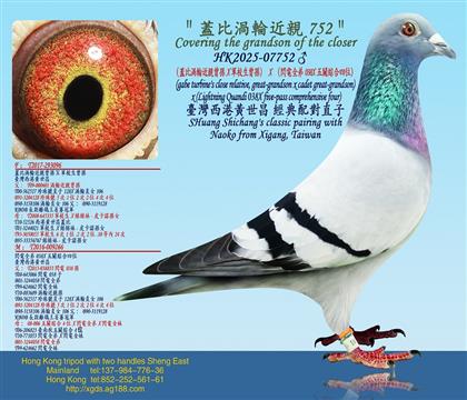 wȜu݆HOX܊УOXWȫ038XP(gun)C