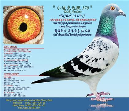 СϿ˽HֱOXOXWpĴι܊OŮ