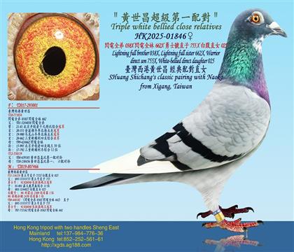 S(j)һ䌦(du)/Wȫ038XWȫ662